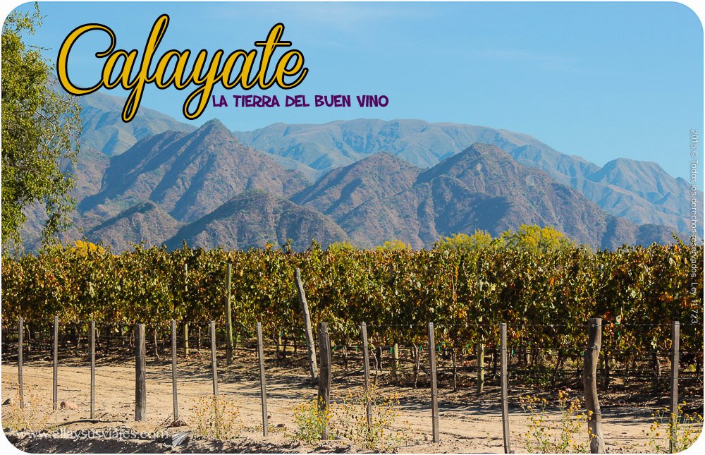 En este momento estás viendo Viaje por el Norte Argentino: Cafayate, la tierra del buen vino