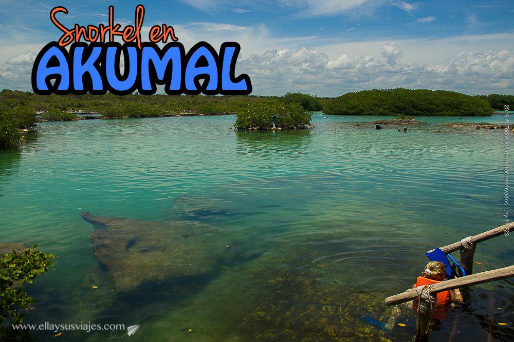 En este momento estás viendo Akumal: paraíso de tortugas
