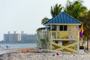 Lee más sobre el artículo Agosto: Mes de la gastronomía en MIAMI