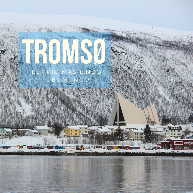 Lee más sobre el artículo Tromsø en invierno: el frío más lindo del mundo